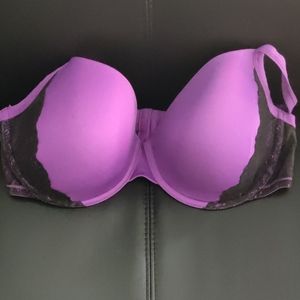 Gorgeous purple bra